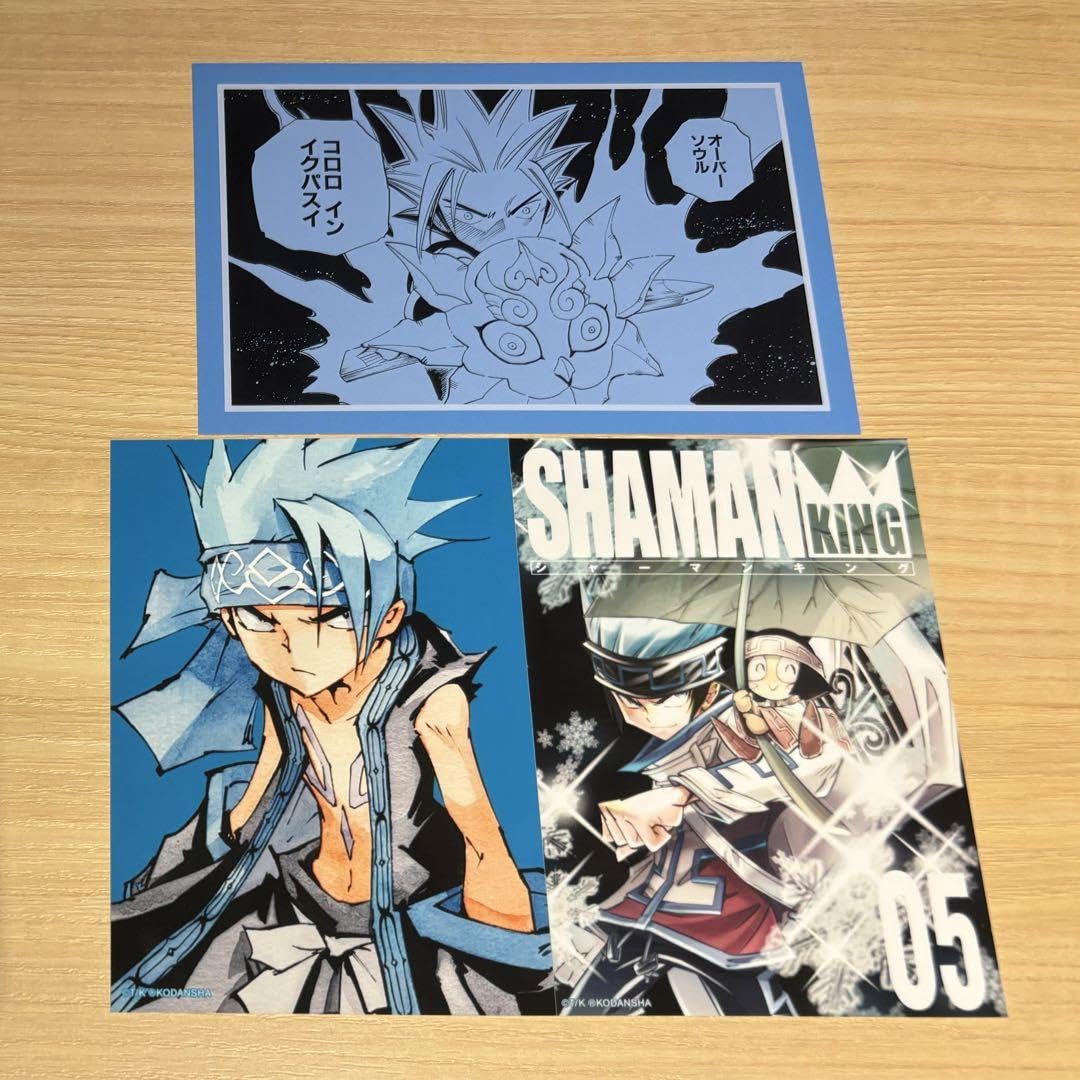 Amazon.co.jp: シャーマンキング ホロホロ セット : ホーム＆キッチン